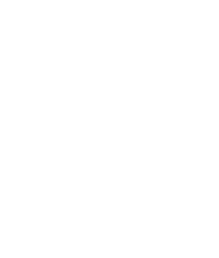 DS